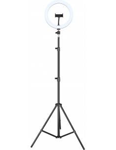 iggual Kit Anillo luz LED 10" + Trípode 200 cm