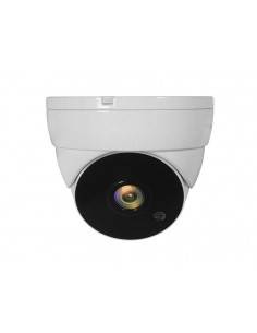 LevelOne ACS-5302 cámara de vigilancia Cámara de seguridad CCTV Interior y exterior Almohadilla Techo