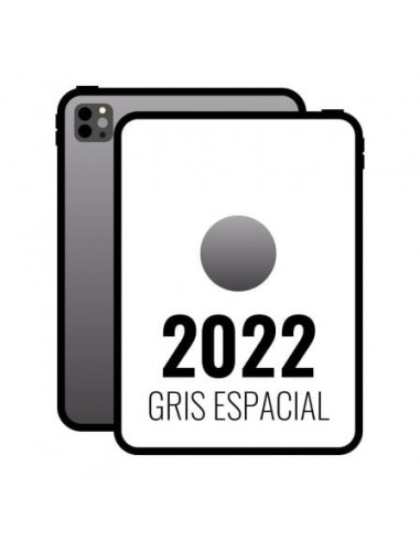 Apple iPad Pro 11' 2022 4th WiFi/ M2/ 256GB/ Gris Espacial - MNXF3TY/A