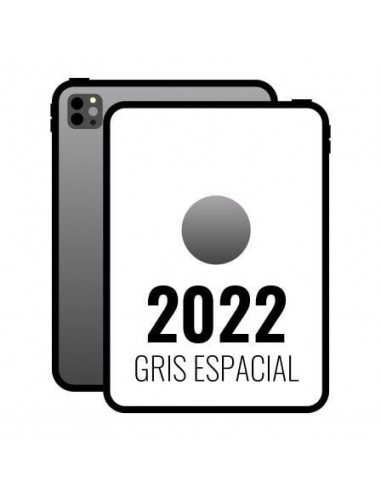 Apple iPad Pro 12.9' 2022 6th WiFi/ M2/ 256GB/ Gris Espacial - MNXR3TY/A